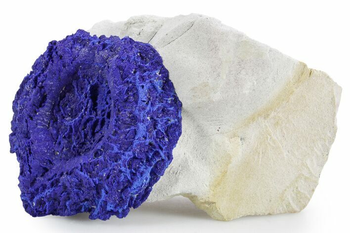 Vibrant Blue Azurite Sun on Siltstone - Australia #361153